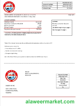 Pakistan Quetta Electric Supply Company electricity business utility bill template in Word and PDF formats